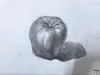《苹果素描》