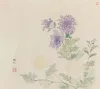 花卉之——菊（二）
