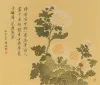 花卉之——菊（一）