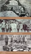 图3:中央医院