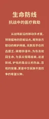 生命防线：抗战中的医疗救助